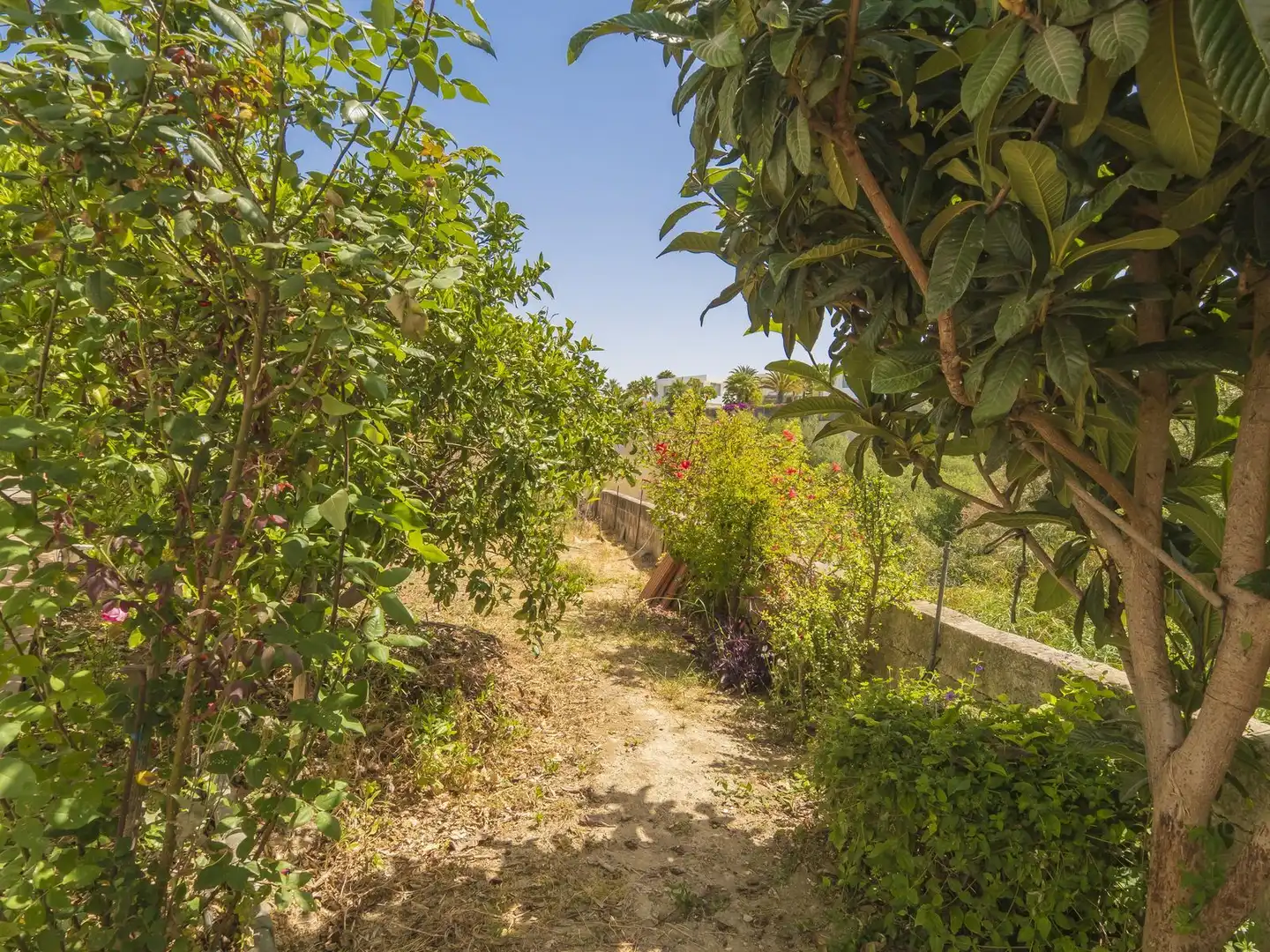 Chalet en venta en Carretera Nacional N-340, imagen 49