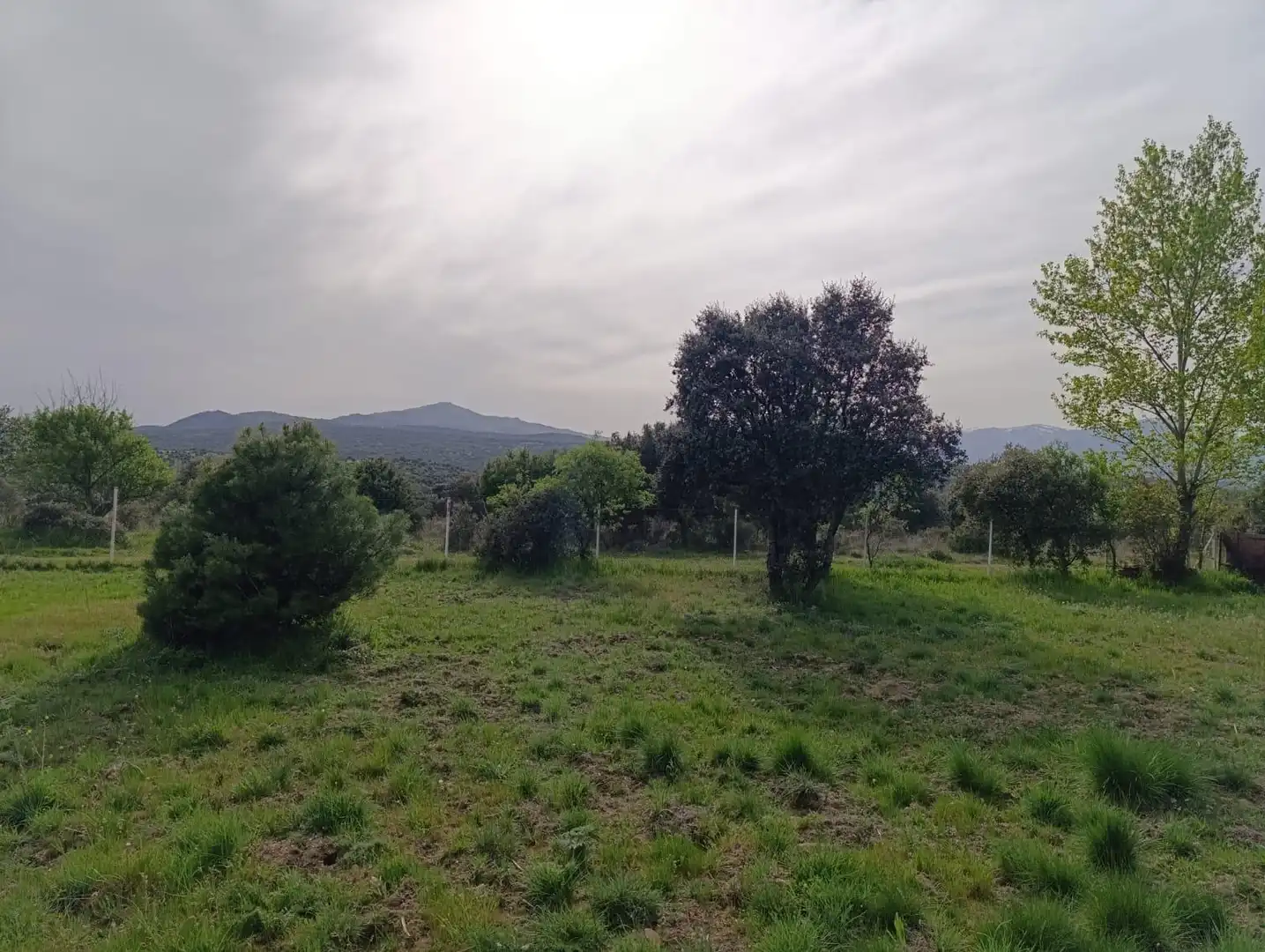 Casa o chalet en venta en Pedrezuela con Calefacción, Jardín privado y Terraza