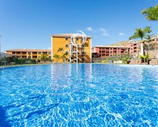 Piscina de Apartament de lloguer en Arona amb Aire condicionat, Piscina i Balcó