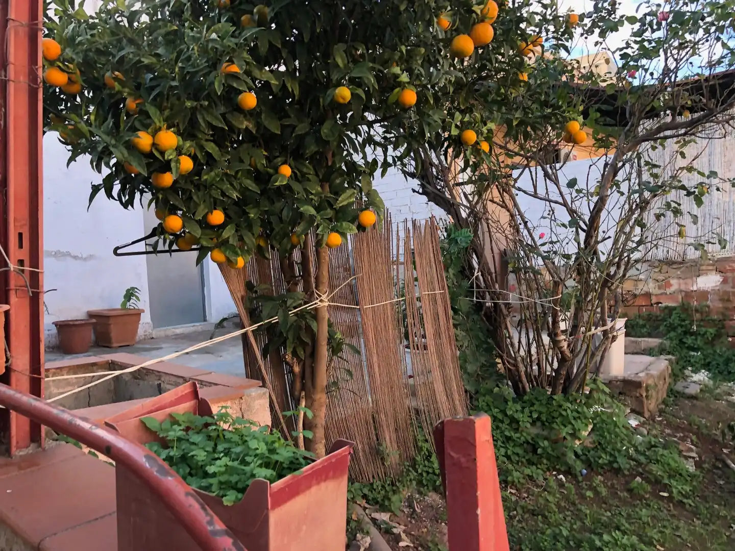 Garden of Houses for sale in Santa Coloma de Gramenet  with Private garden, Terrace and Storage room