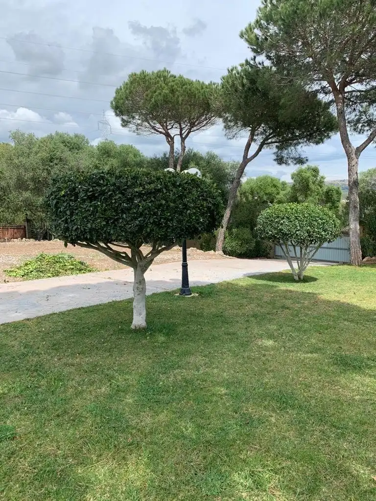 Jardín de Casa o chalet en venta en San Roque con Jardín privado, Terraza y Piscina