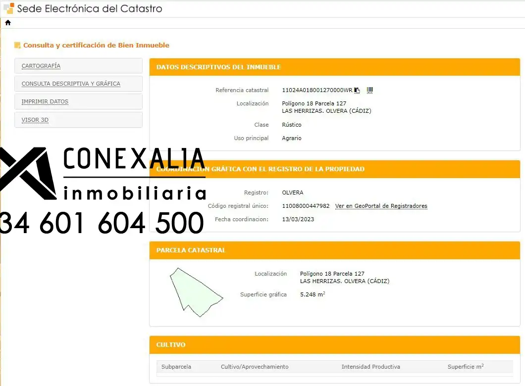 Casa rústica en venda a Olvera, imagen 4