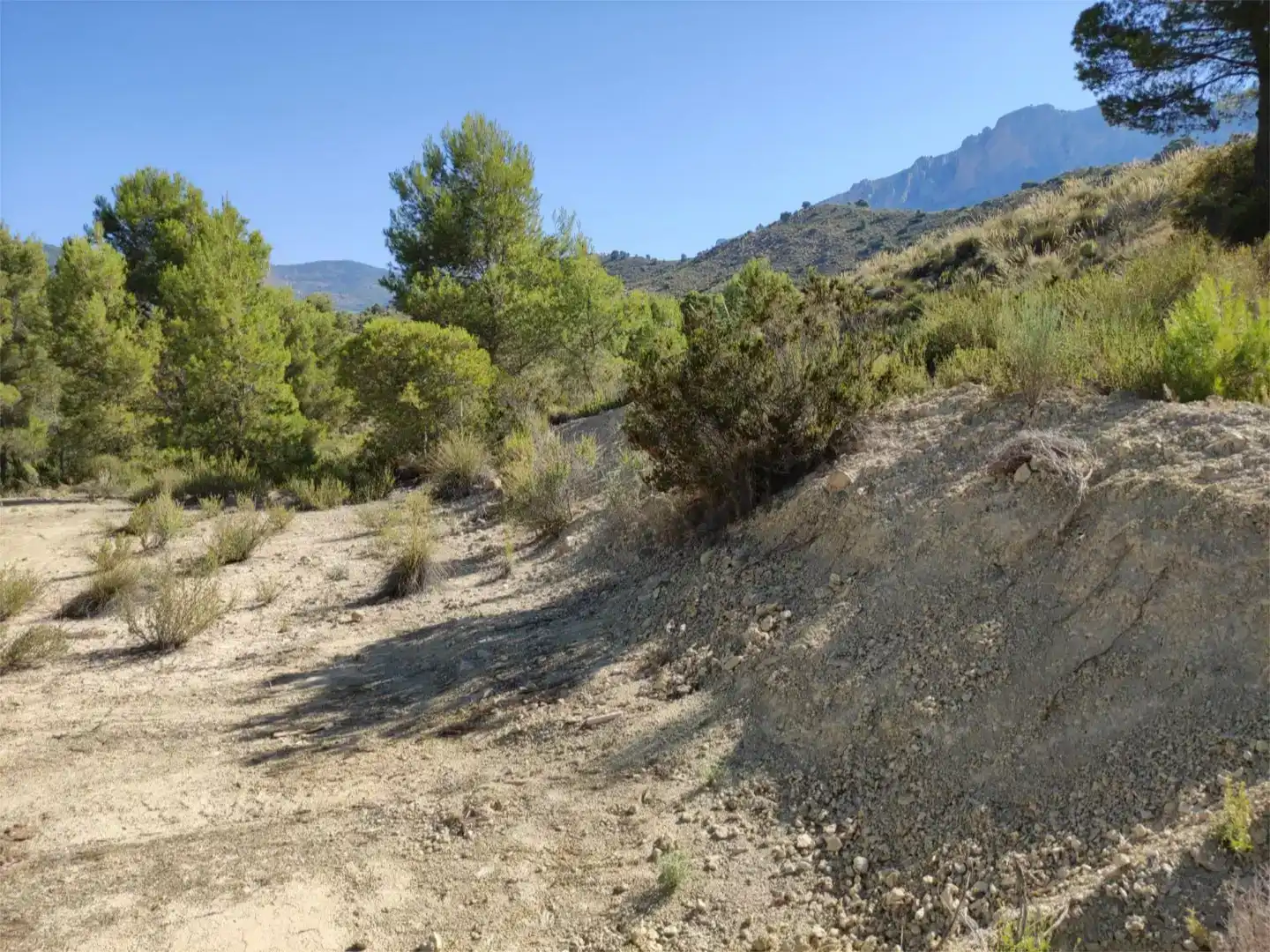Terreno en venta en Busot