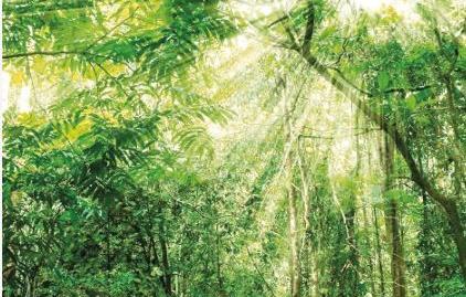 Photo 5 of Flat for sale in Calle Islas Bermudas, 100, Cancelada, Estepona