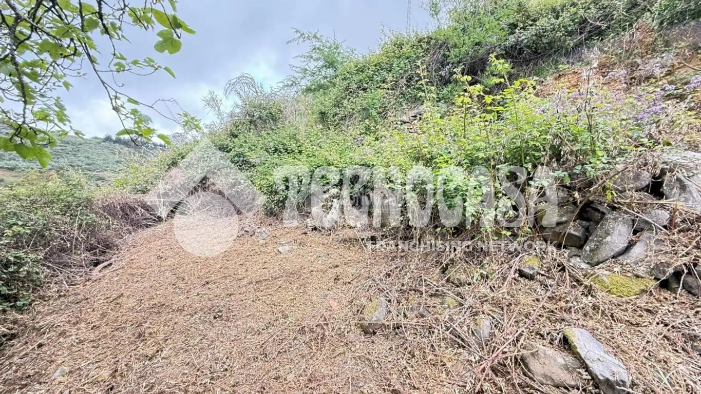Terreno en venta en Moya (Las Palmas)