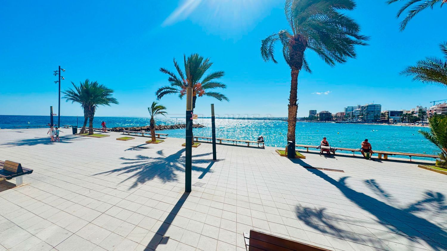 Exterior view of Flat to rent in Torrevieja  with Air Conditioner, Terrace and Furnished