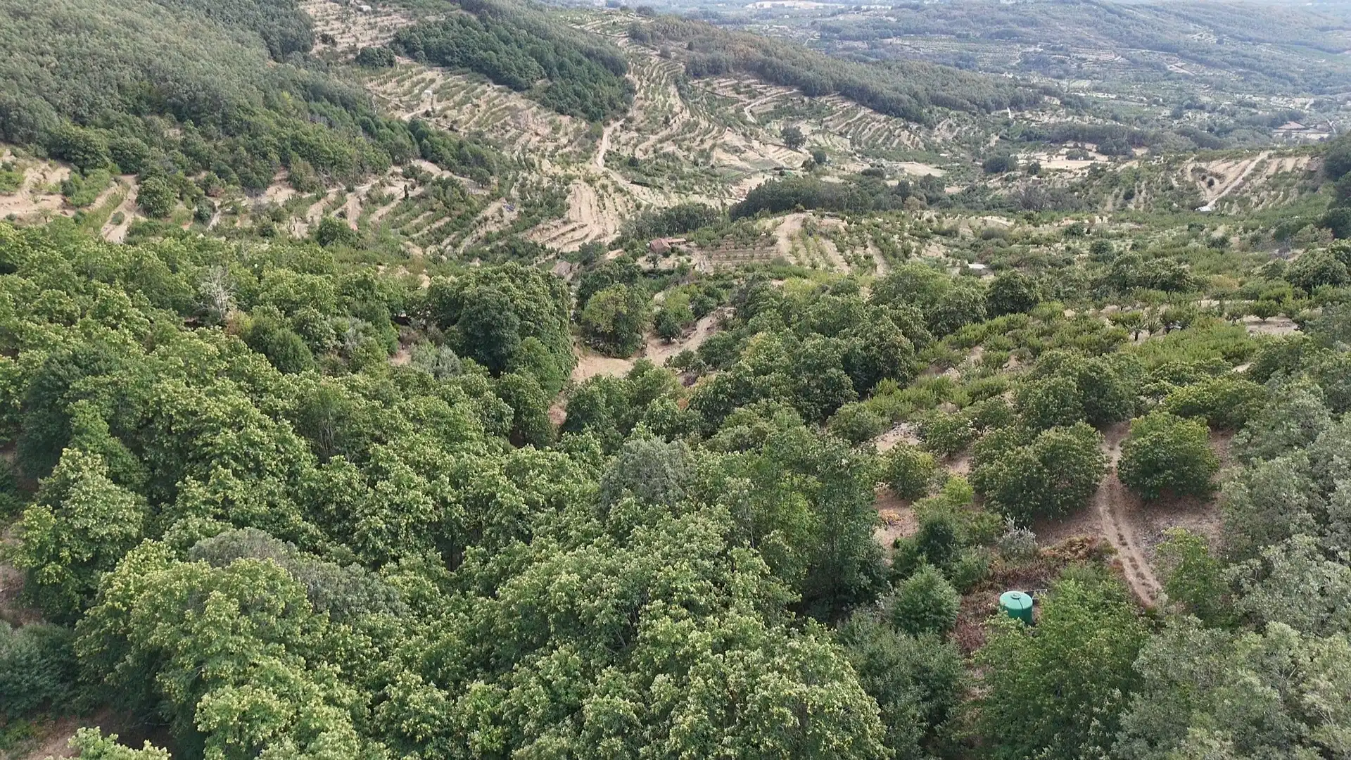 Terrain rustique à vendre à Avenida Extremadura 72, imagen 6