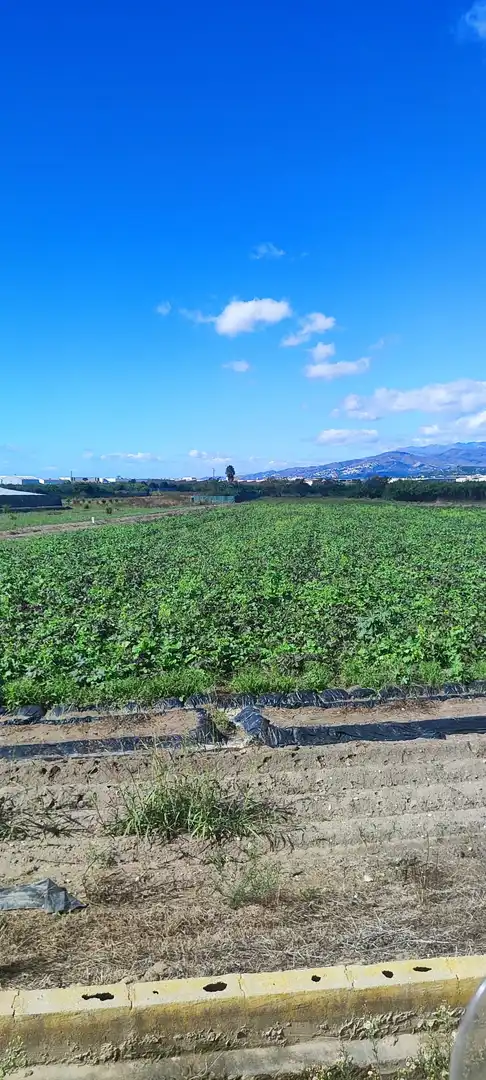Terreno rústico en venta en Motril  ciudad, imagen 4