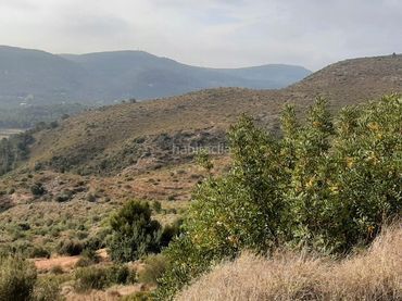 Rural land for sale in Plaça Poligono 7 76