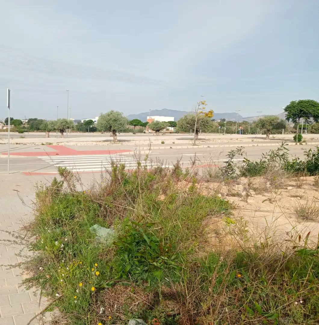 Terrenos y solares en venta en Platja de Torres, imagen 6