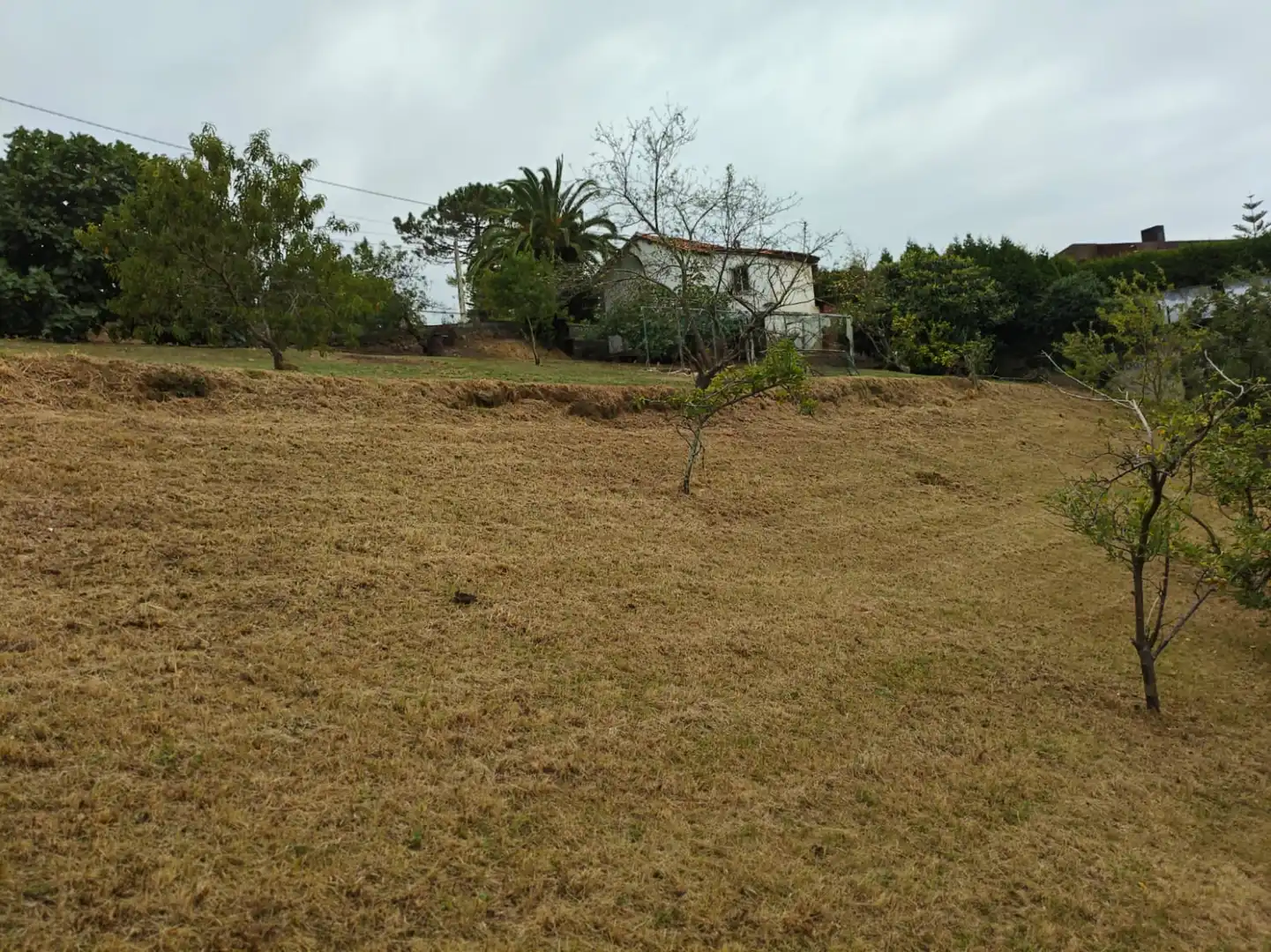 Houses for sale in Castrillón