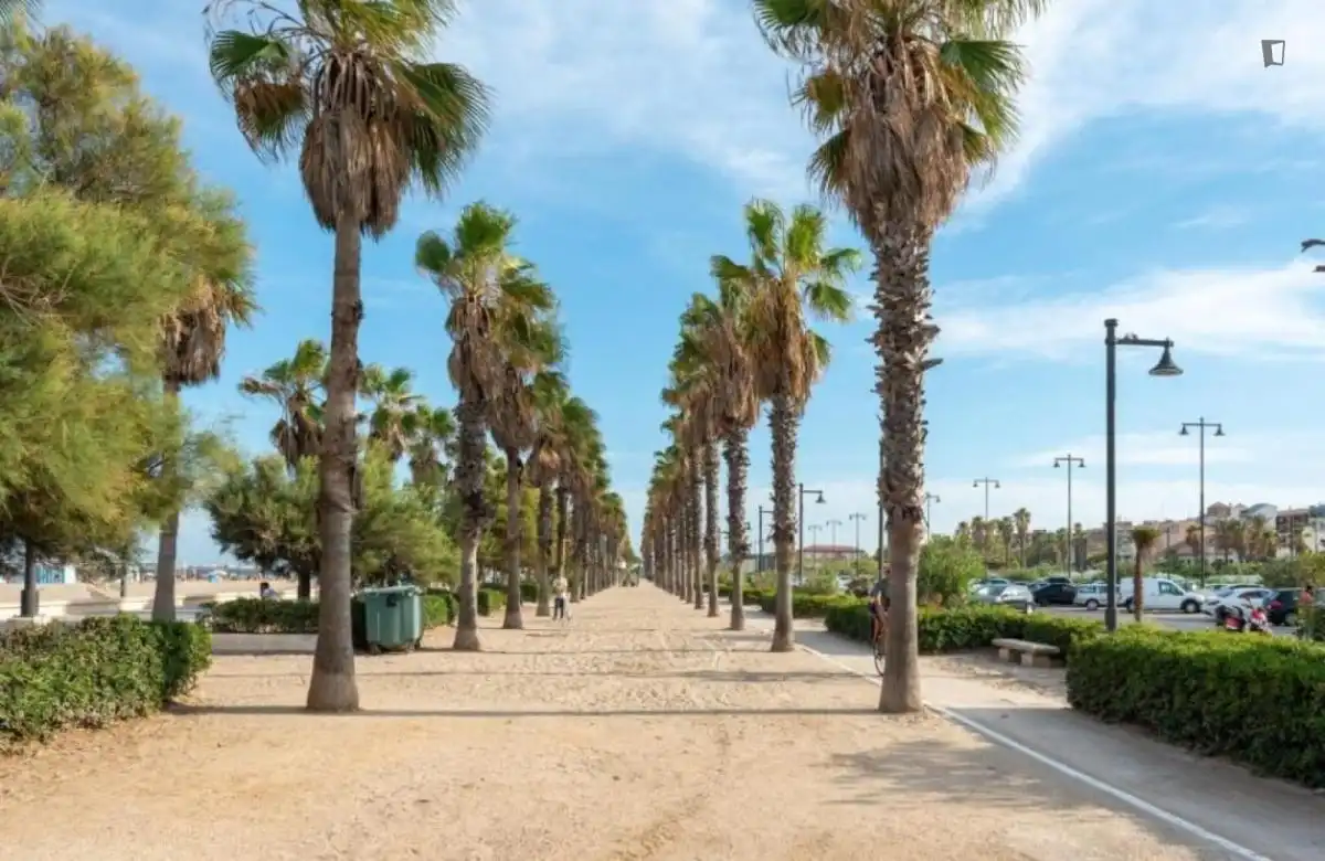 Apartamento de alquiler en La Malva-rosa