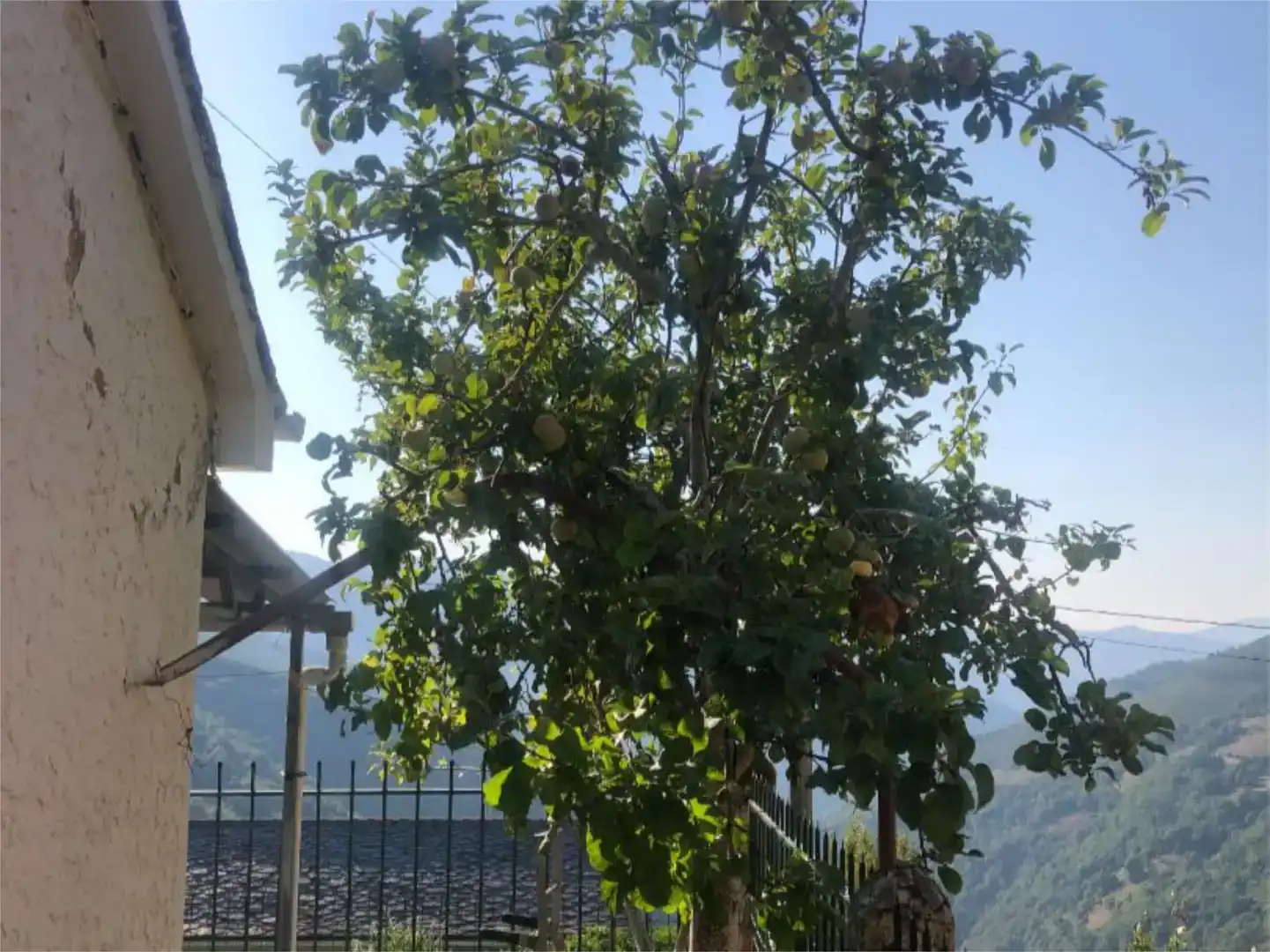 Jardín de Finca rústica en venta en Ibias con Jardín privado y Amueblado