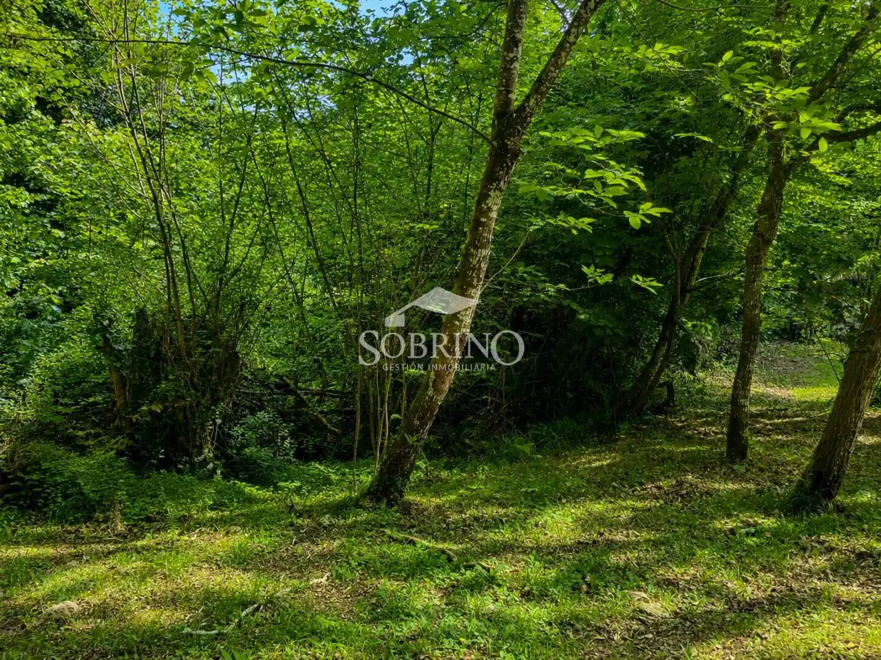 Maison avec jardin à vendre à Calle Piñeres de Pria 1, imagen 6