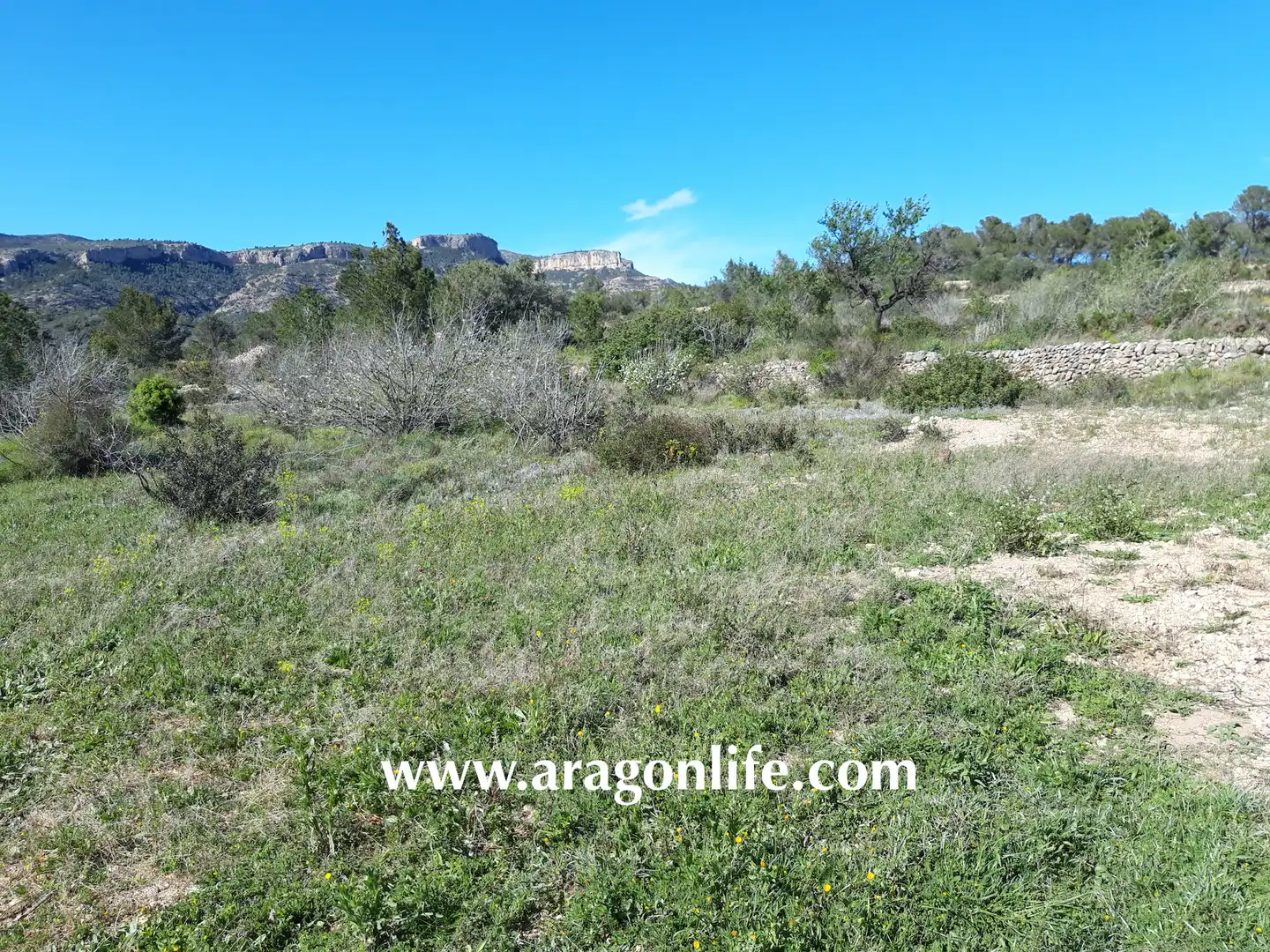 Rural land for sale in C-43, imagen 16