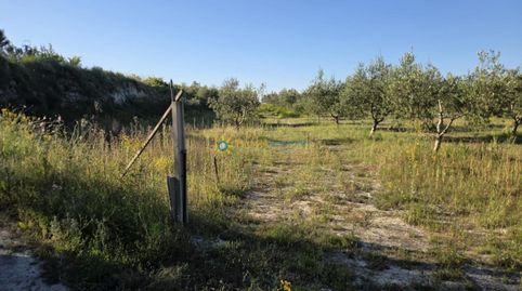 Terreno de Venta en Belgida, immagine 4