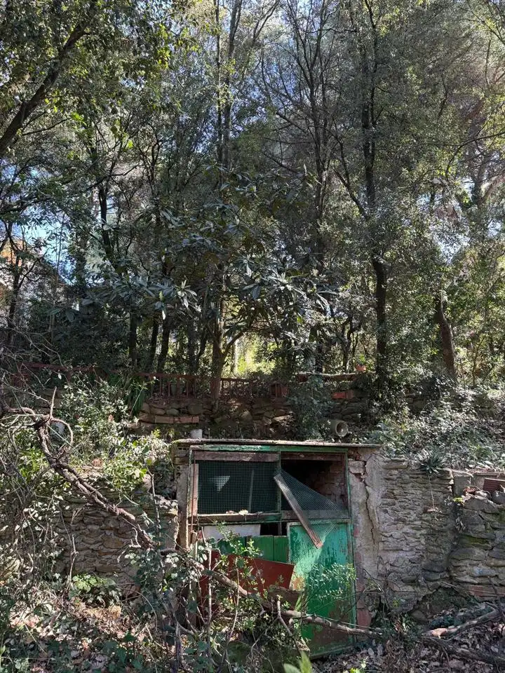 Grundstücke und Bauplätze zum Verkauf in De Lluis Millet, imagen 7