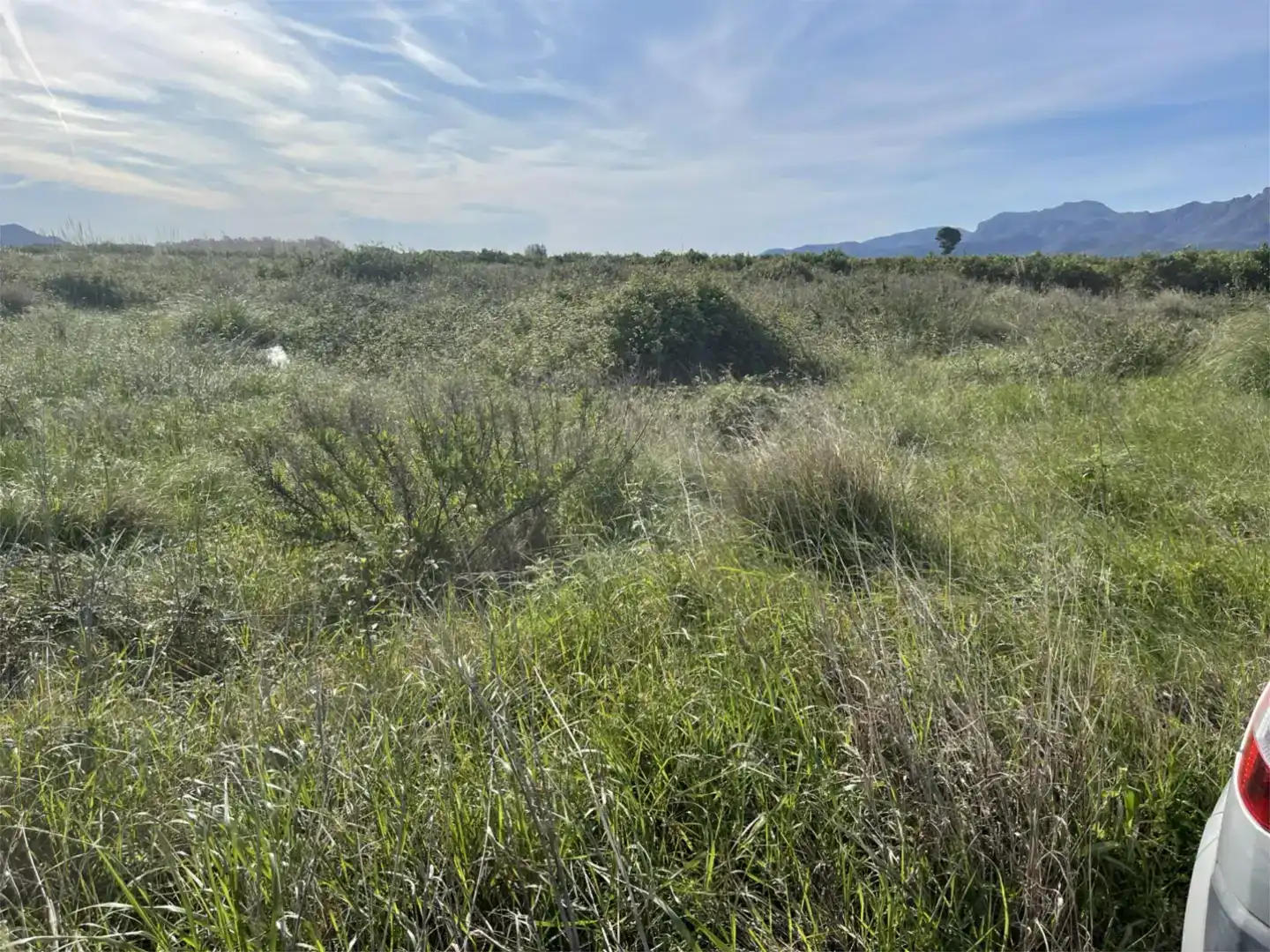 Finca rústica en venta en Polinyà de Xúquer
