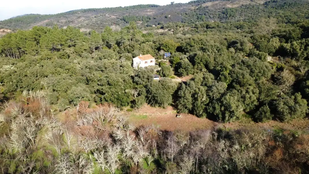 Casa o xalet en venda en Los Marines amb Jardí privat, Terrassa i Traster