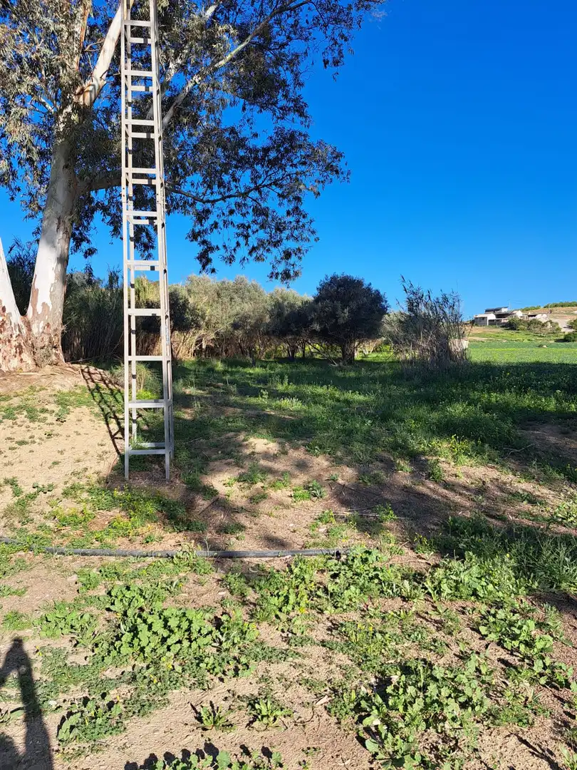 Grundstücke und Bauplätze zum Verkauf in Casalpalma - Fahala