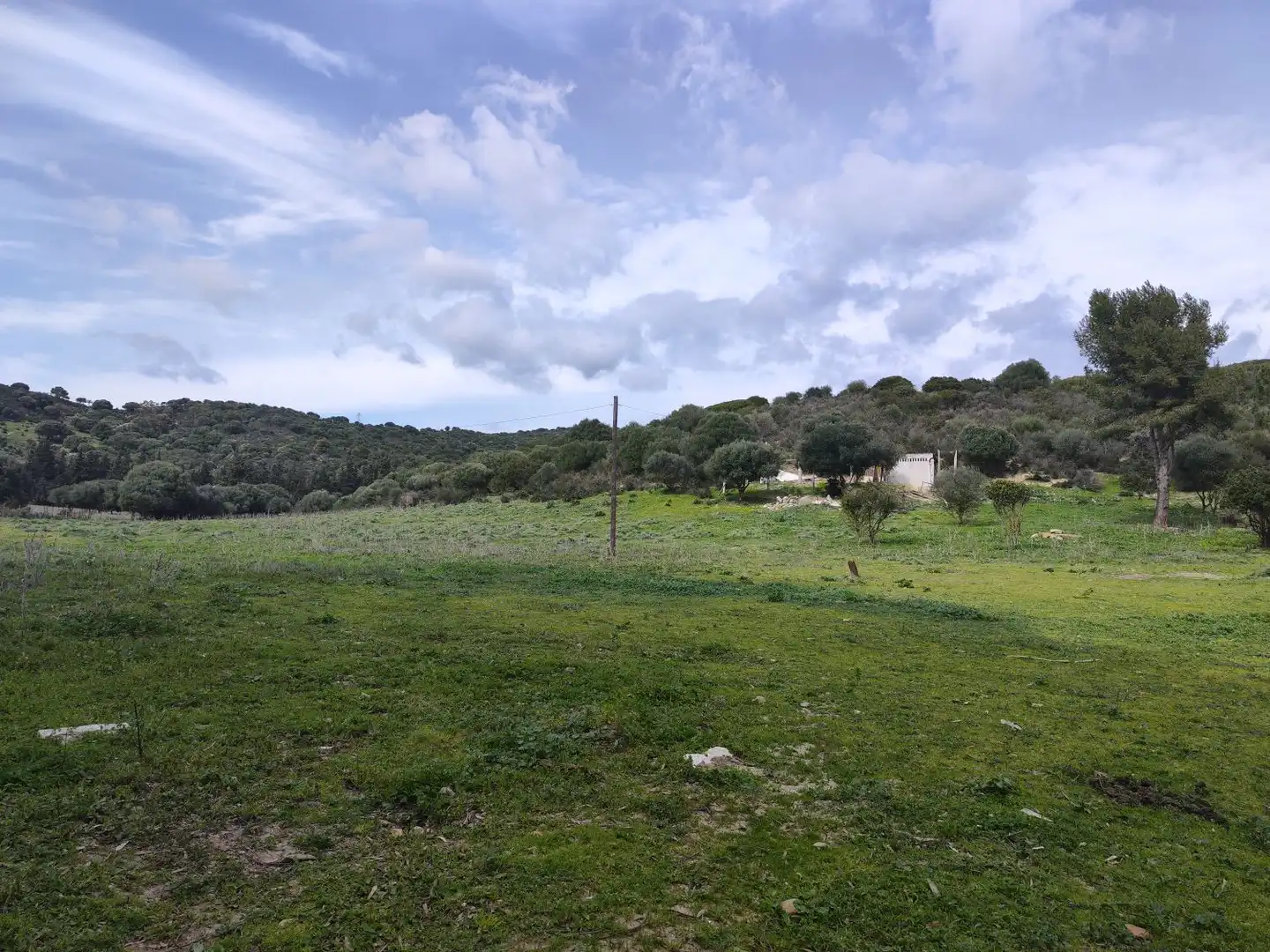 Maison rustique à vendre à San Martín del Tesorillo, imagen 24