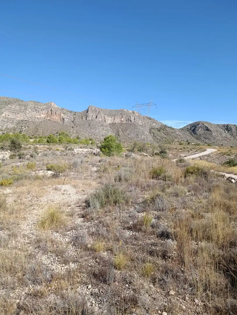 Terreno rustico in vendita a Hondón de las Nieves / El Fondó de les Neus, imagen 12