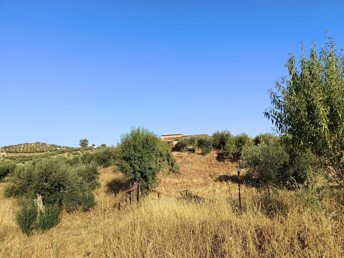 Residencial en venta en Montemolín
