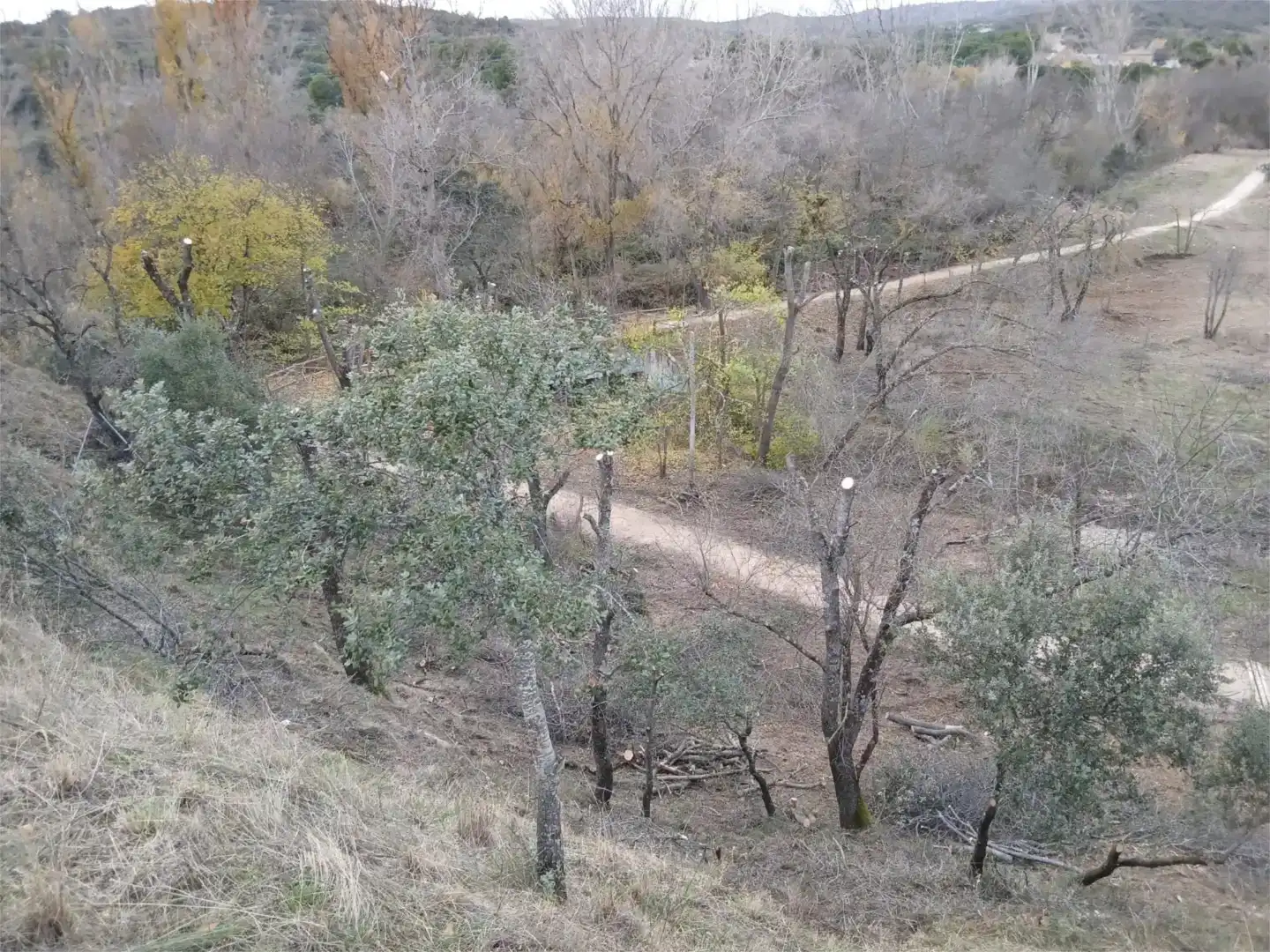 Finca rústica en venda en Las Rozas de Madrid