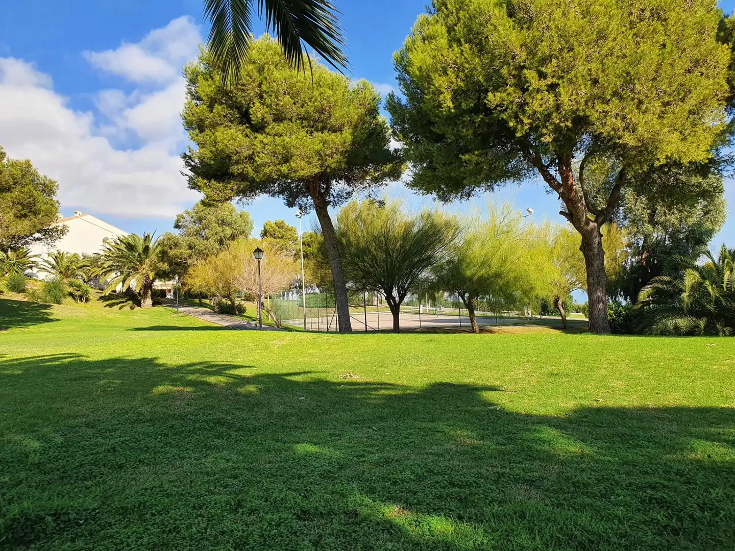 Bungalow amb terrassa en venda a SCHUBERT, imagen 56