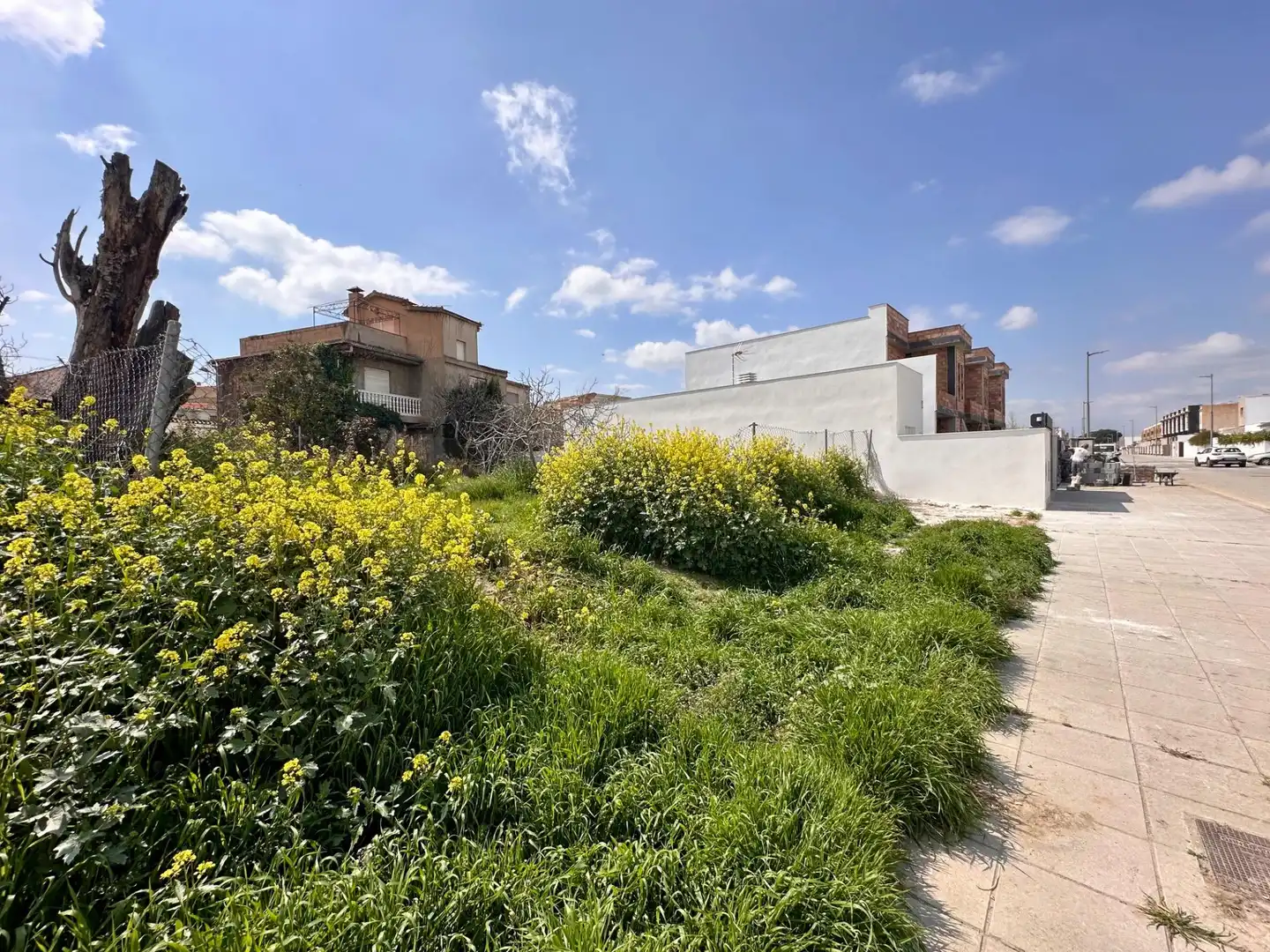 Terreny residencial en venda a Calle Calle Surius, imagen 4