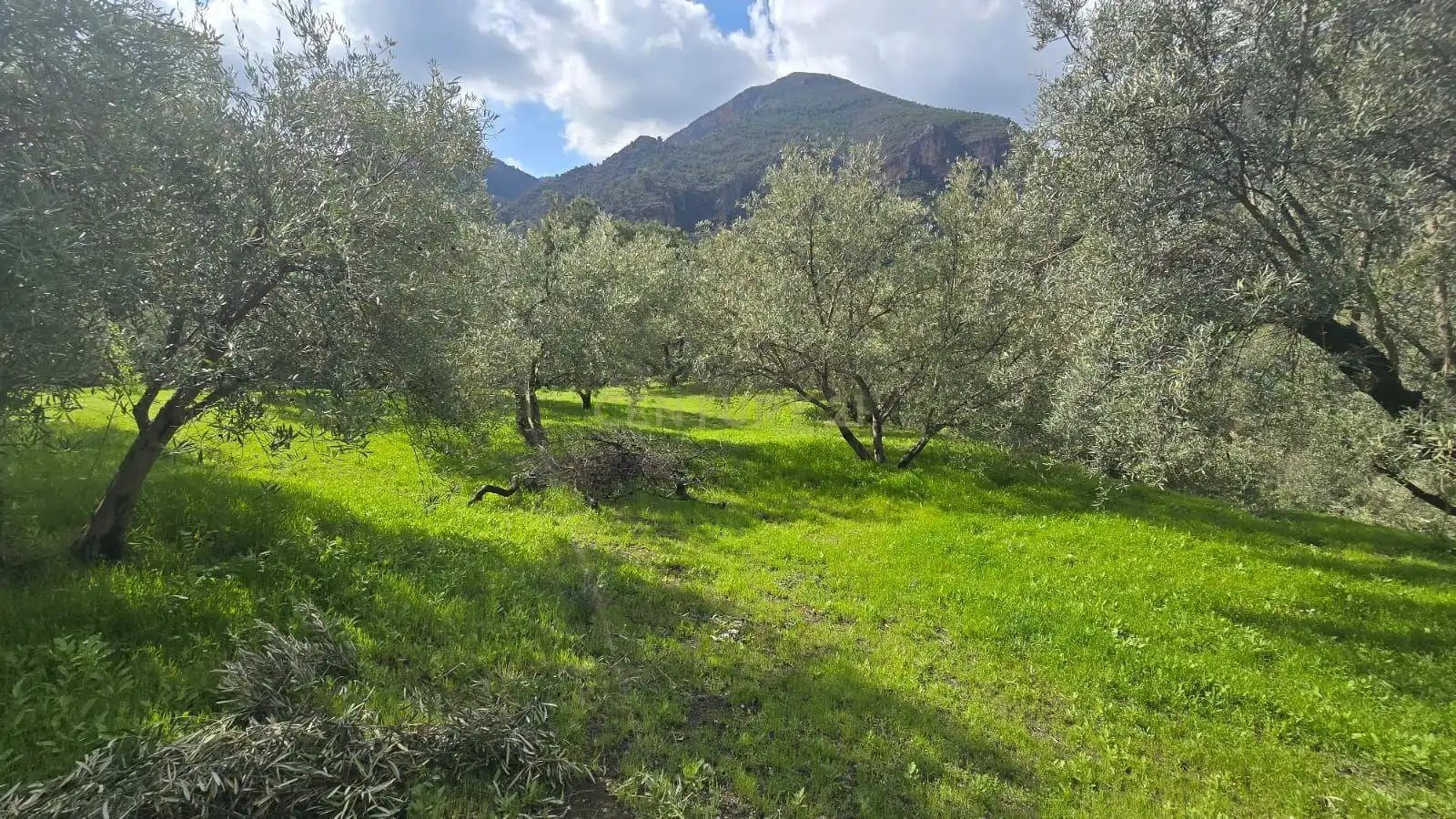 Terreno rustico in vendita a Polígono 11 Parcela 117 EL CERRILLAR. LOS GUAJARES (GRANADA), imagen 3