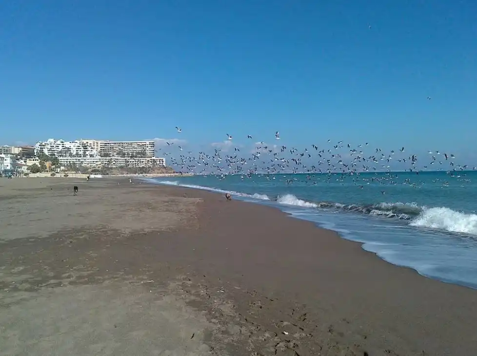 Vista exterior de Apartamento de alquiler en Torremolinos con Aire acondicionado, Terraza y Amueblado