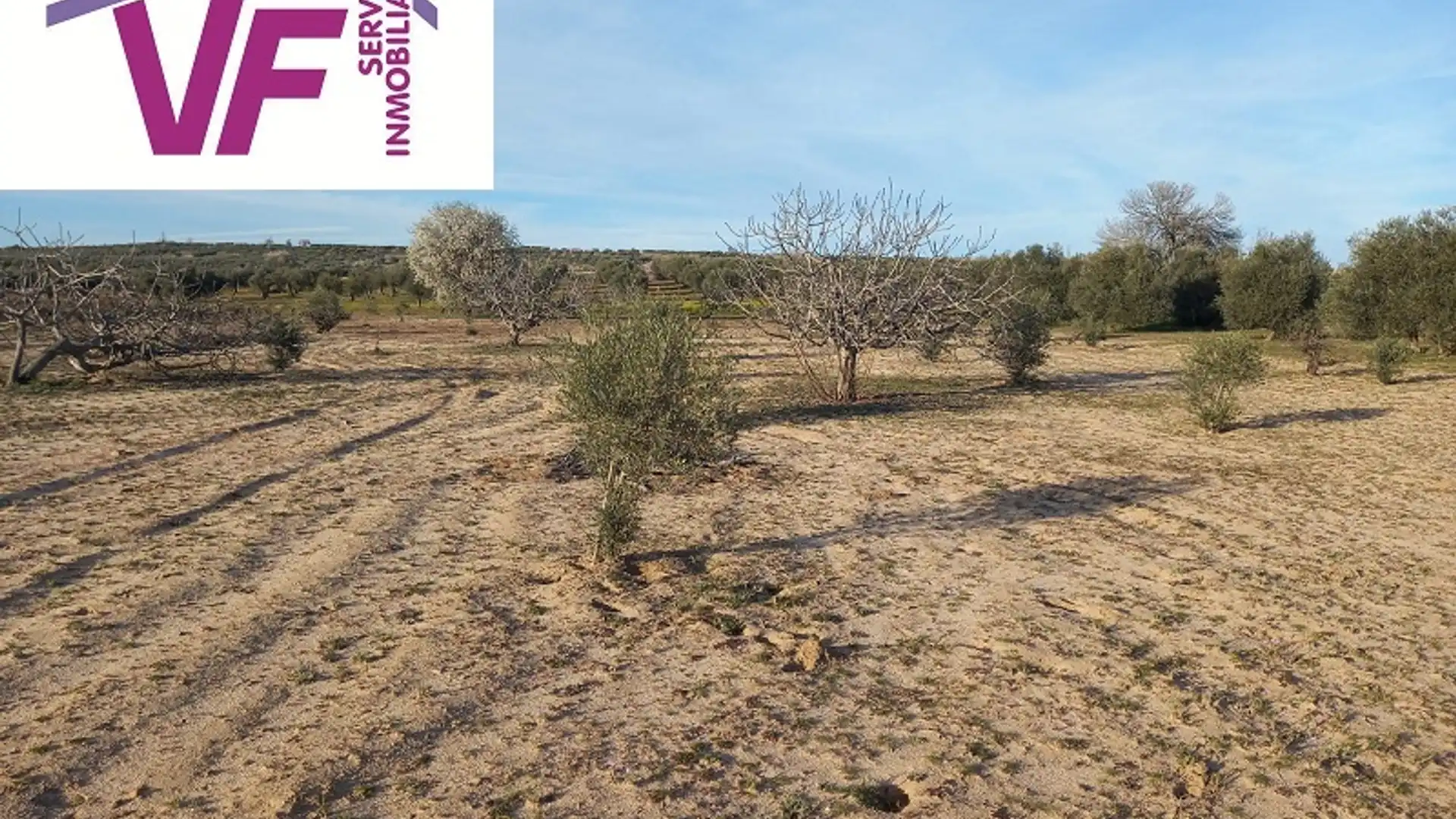 Terreno en venta en Cebolla