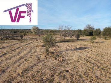 Terreno rustico in vendita a Cebolla