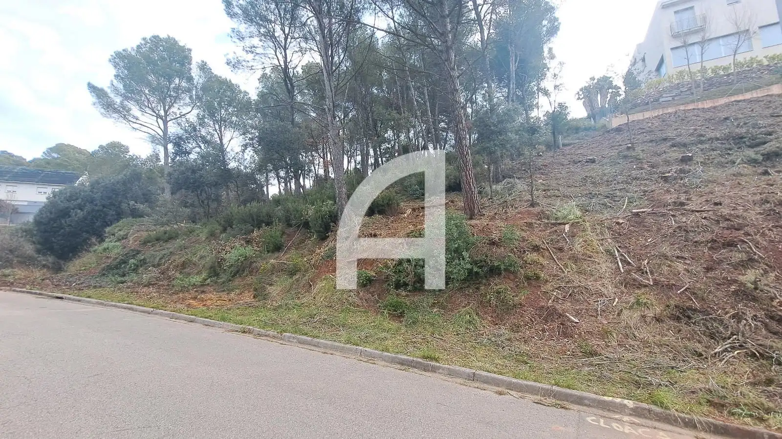 Land for sale in Matadepera