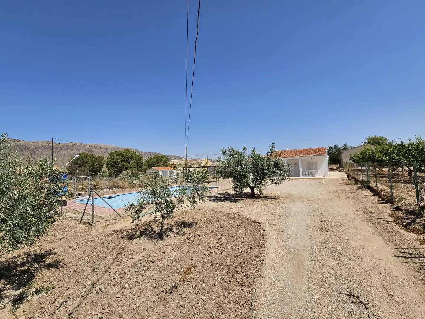 Casa rústica con piscina en venta en Jumilla, imagen 4