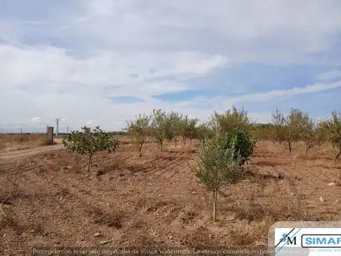 Terreno en venta en Ajofrín