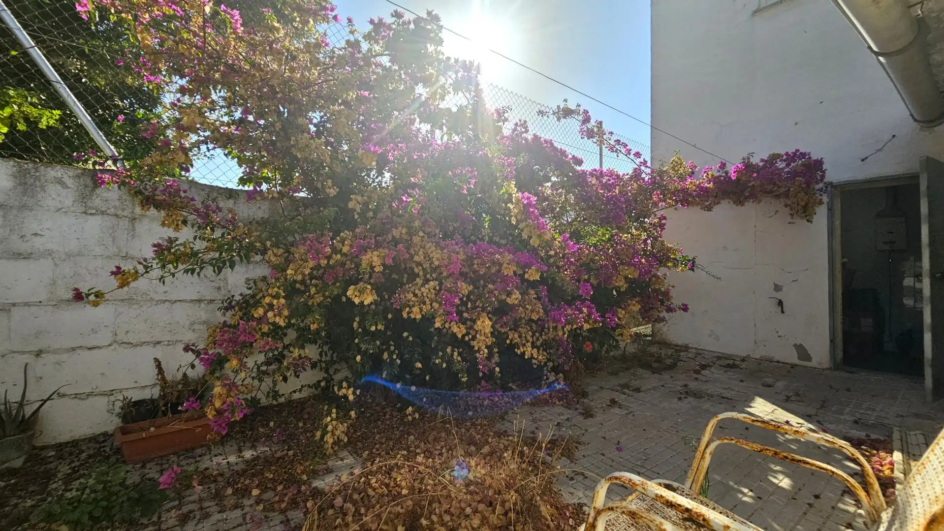 Jardí de Casa o xalet en venda en Sanlúcar de Barrameda amb Jardí privat