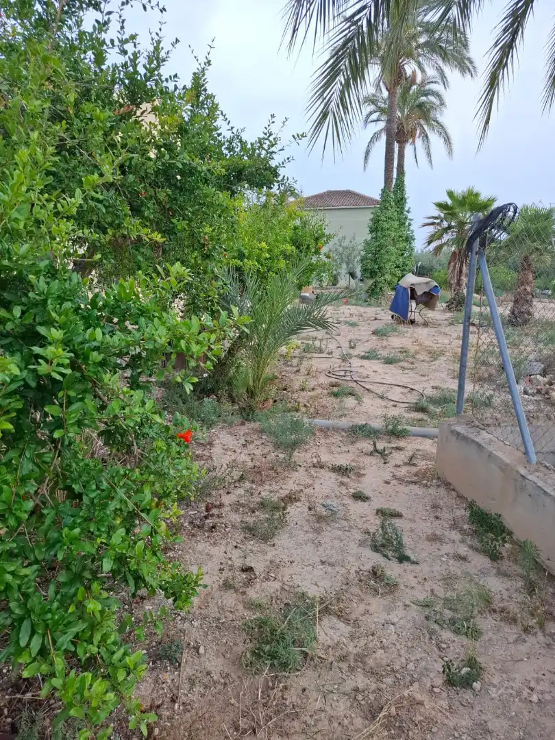Casa o xalet en venda en Elche / Elx amb Jardí privat i Moblat