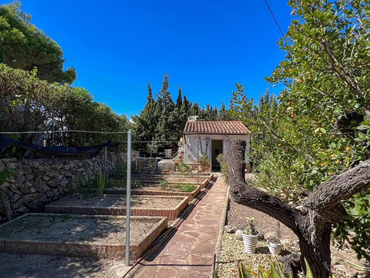 Casa con piscina en venta en La Fustera, imagen 43