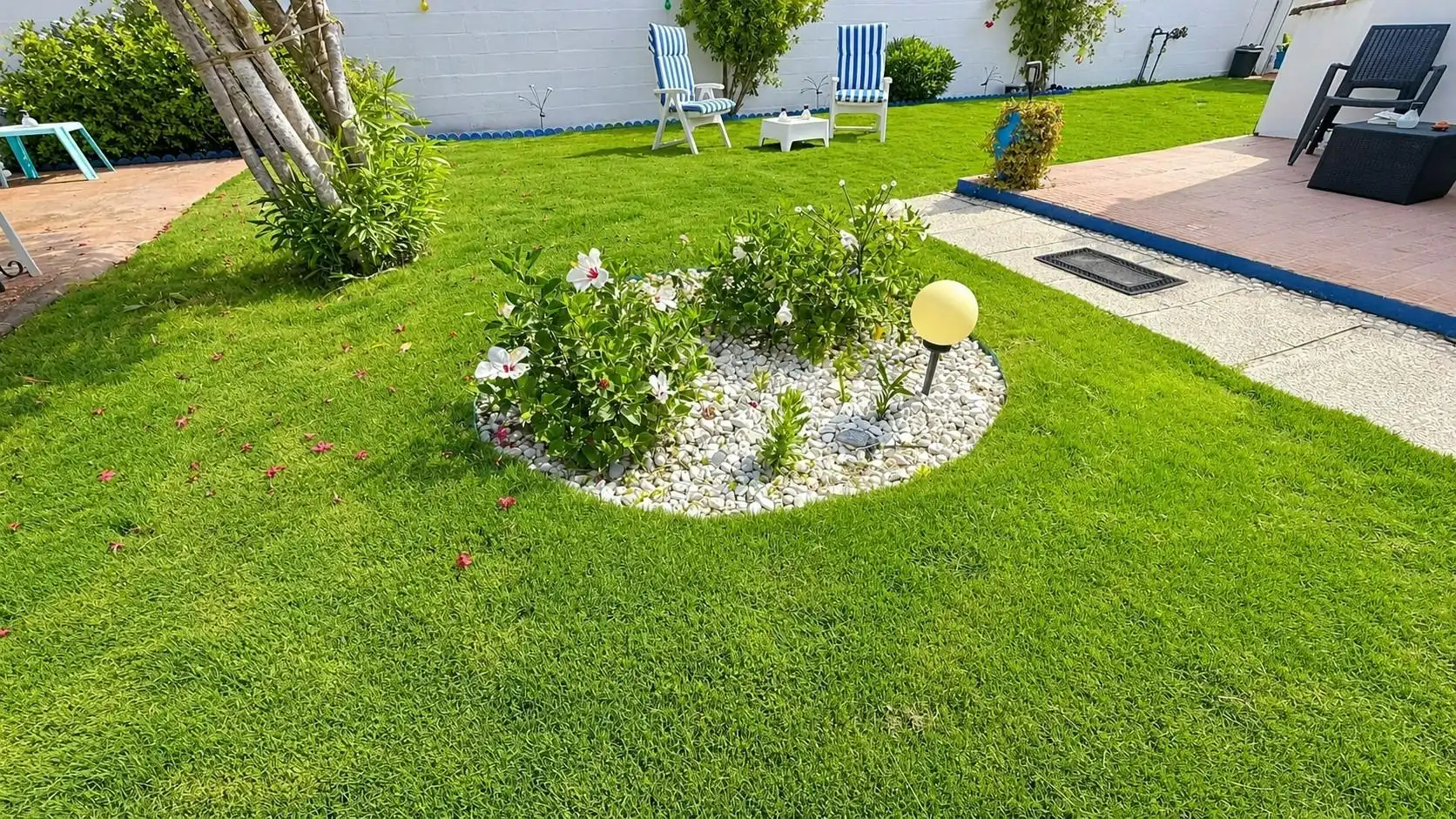 Jardín de Casa o chalet en venta en Chiclana de la Frontera con Jardín privado, Trastero y Piscina