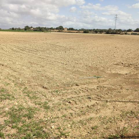 Terreno en Venta en Vilafranca de Bonany