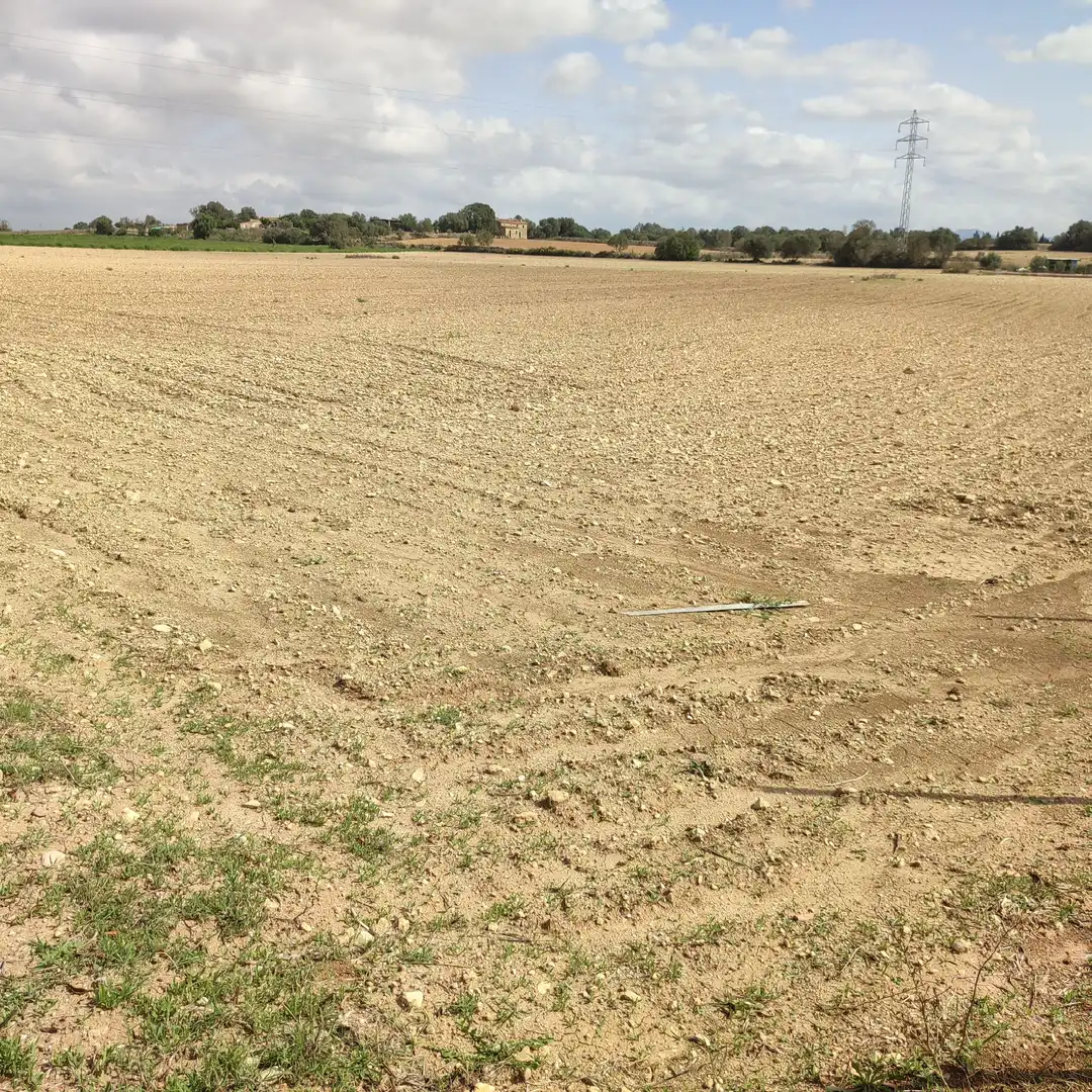 Rural land for sale in Vilafranca de Bonany