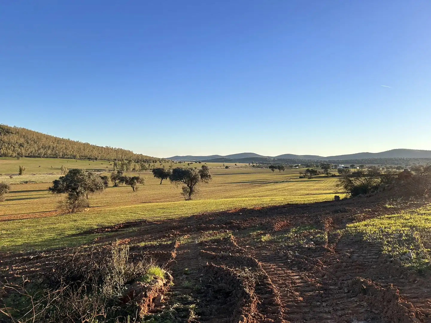 Terreny rústic en venda a Peraleda del Zaucejo, imagen 25