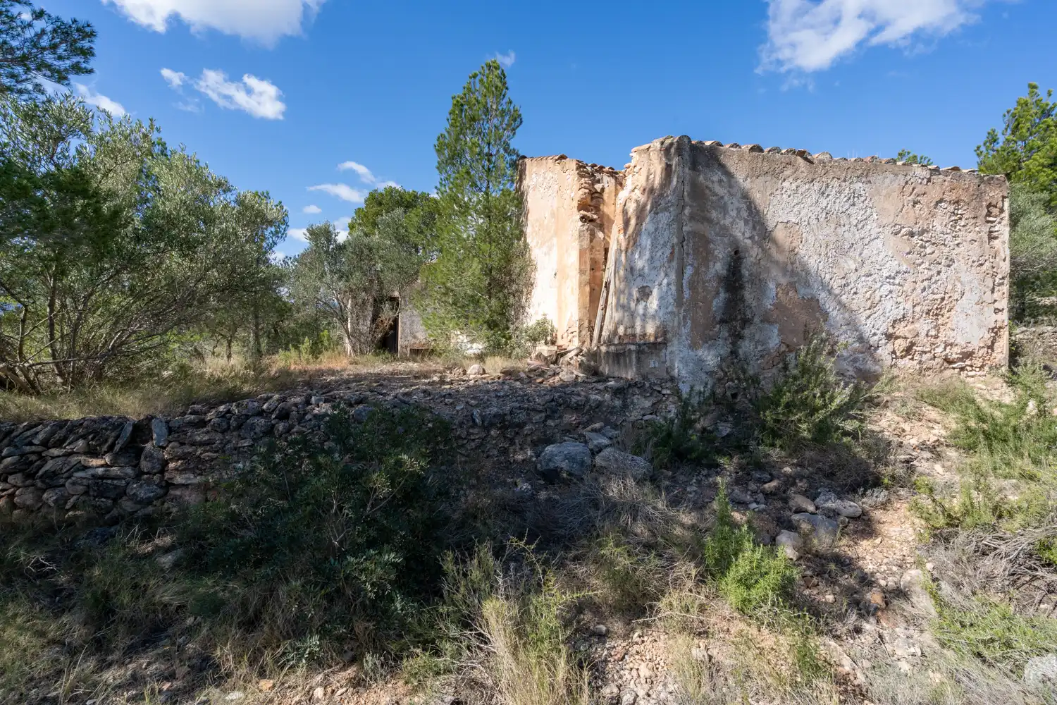 Terrain rustique à vendre à Xerta, imagen 29