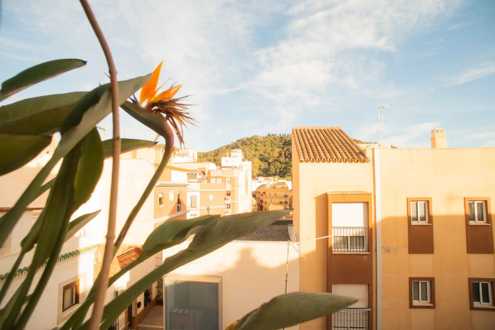 Casa amb terrassa en venda a Centro, imagen 4