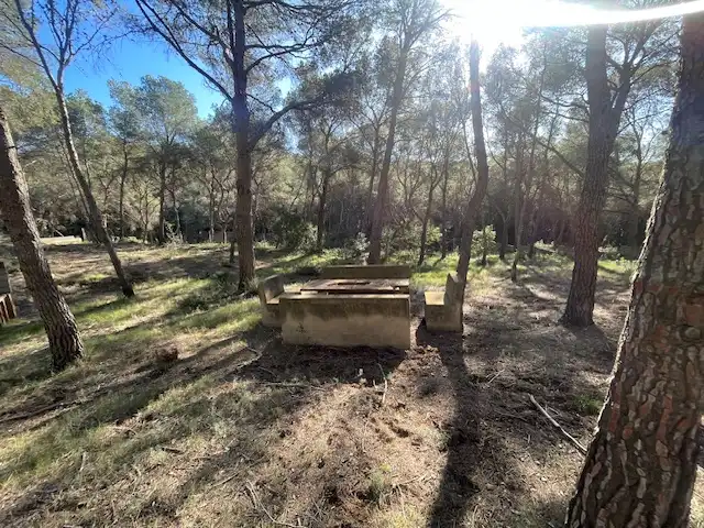 Rural land for sale in Sagunto ciudad, imagen 8