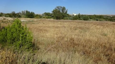 Se vende suelo industrial a la entrada del polígono industrial El Campillo en Zuera (Zaragoza). Totalmente urbanizado y con todos, imatge 4