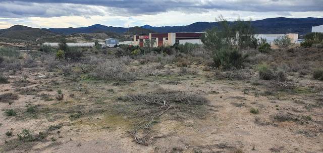 Terreno en Alquiler en Cantoria