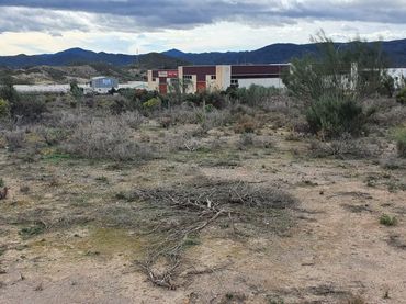 Terreny rústic de lloguer a Cantoria